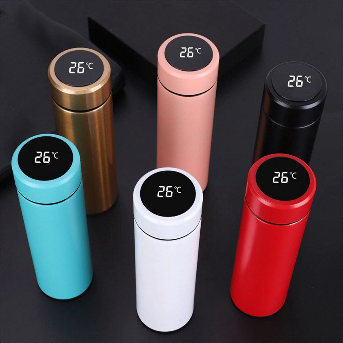 Temperature Display Bottle